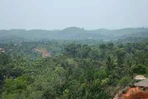 OYO 10460 Hotel Bethel Homestay - Image 3