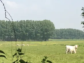 Le Domaine de Bourville - Image 3