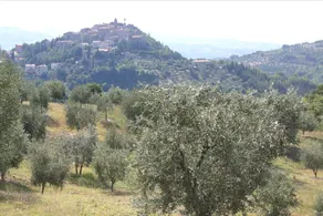 Terre D'Orcia Hotel - Image 4