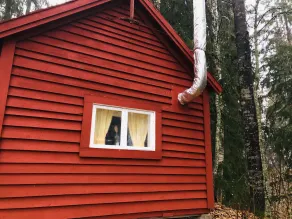 Tiny hut in the Forest Overlooking the River - Image 2