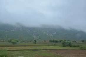 The Tiger Hill Sariska - Image 5