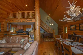 Bear Necessity Home - Image 3