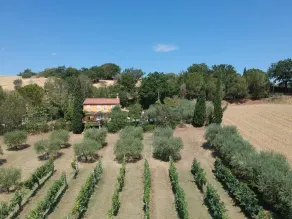 Home set in Olive Grove With Stunning Views - Image 3