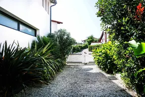 Palm Bidart - Image 3