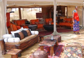 Elephant Bedroom Camp - Image 5