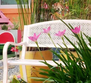 Follow Dream Resort - Image 3