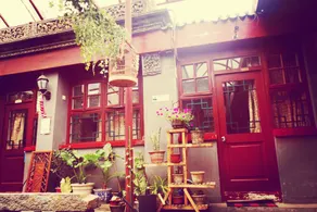 Three Legged Frog Hostel - Image 2