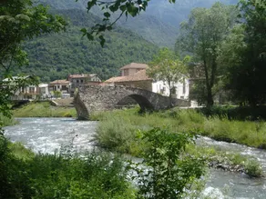 Fonda Mas - Image 4