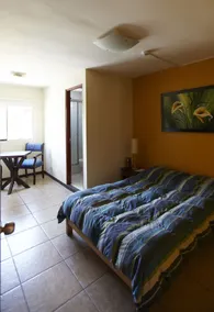 Flying Dog Hostel - Image 5