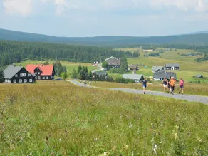 Authentic log Cabin With Fireplace. Only 300m to the ski Slope, Unobstructed View! - Image 4