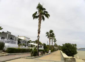 Holiday apartment with sea view in Ventanicas, 87 m², pool - Image 5