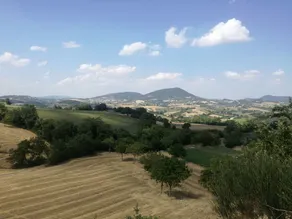 B&B La Cerasa - Image 3
