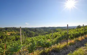 Stunning Home in Montegrosso Cinaglio With 2 Bedrooms, Wifi and Outdoor Swimming Pool - Image 3