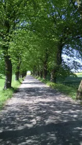 Fewo-am-Feldrain-auf-NW-Ruegen - Image 3