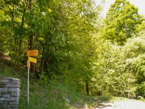Pimpisnino Brissago in Brissago - Image 3