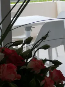 Casa Ferreri - Image 5