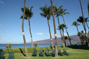 Sugar Beach Resort 526 - Image 4