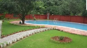 Tiger Kingdom - Image 2