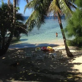 Tamanu - Image 5