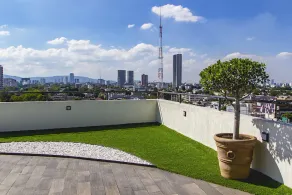 Chapultepec Collections - Image 3