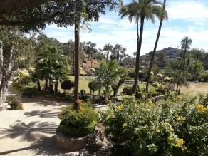 Manwar Garden Resort (Pure Veg) - Image 3