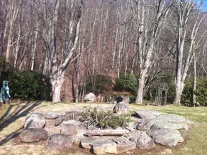 Great Stays Near Banner Elk and Beech - Image 2