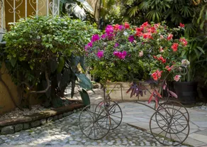 Quinta Gobernador - Image 5