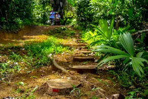 Osa Jungle Hostel - Image 3