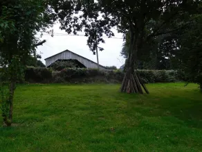 Repos Sous Les Arbres - Image 3