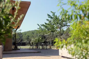L'Olivar - Image 4