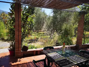 Cortijo El Nuevo Olivo - Image 2
