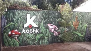 Kosh - Image 3
