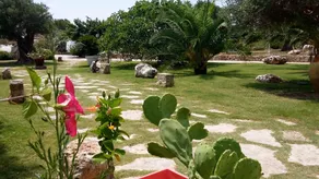Viar Beach Club - Image 5