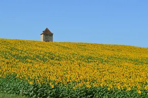 Chambres Dhôtes De Laloubin - Image 4