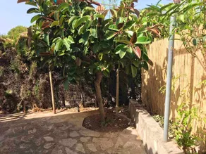 House With 2 Bedrooms in Dénia, With Shared Pool, Enclosed Garden and Wifi - 2 km From the Beach - Image 4