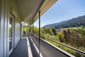 Traum-Ferienhaus auf der Burghalde - Image 2