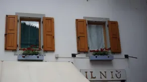 Il Niu - Image 3