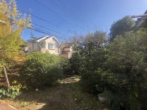 Okazaki House - Image 3