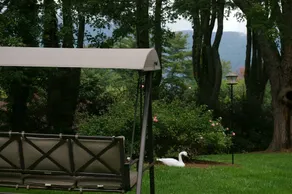 Brookside Mountain Mist Inn - Image 5