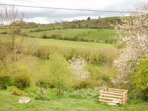 Coed Y Gaer - Image 4