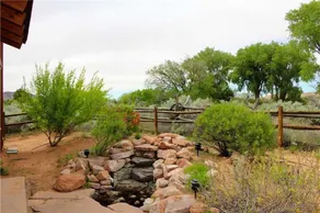 Coyote Run #4 - Image 5
