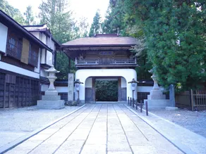 Saimonin - Image 2