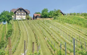 Awesome Home in Breitenfeld With 2 Bedrooms, Wifi and Outdoor Swimming Pool - Image 2