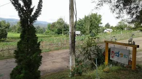 Banpak Phusuay - Image 4