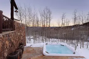 Snowmass the Roxie - Image 5