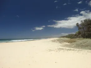 Tuckers Rocks Cottage - Image 5