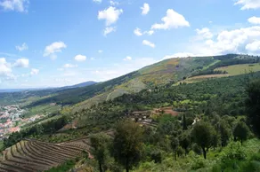 Villa With 3 Bedrooms in Torre de Moncorvo, With Wonderful Mountain View, Shared Pool and Enclosed Garden - Image 3