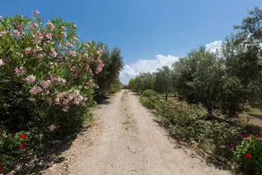 Casolare Lu Potu - Image 2