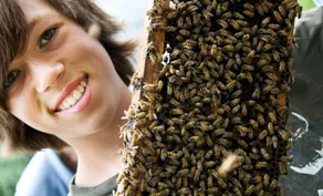 Bee Weaver Honey Farm - Image 2
