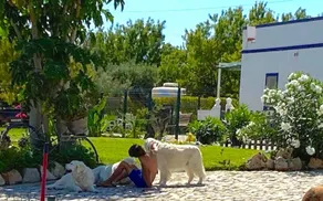 Quintinha Da Foz Guest House - Image 3